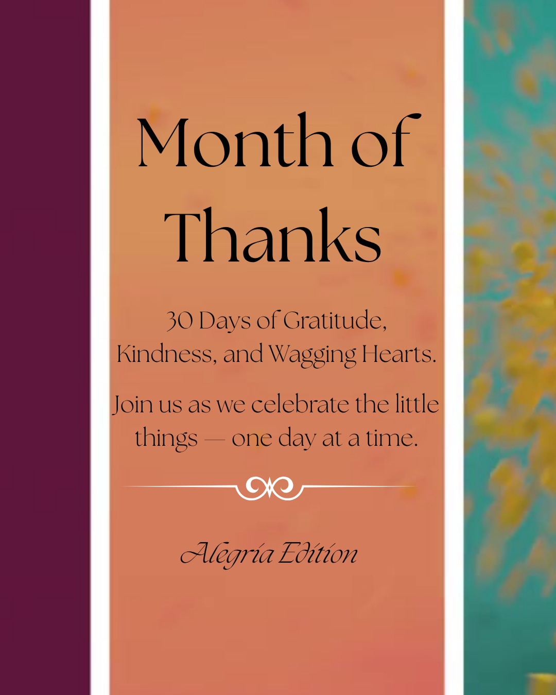 November Wrap-Up