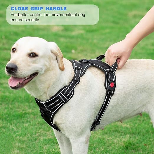 TOBEDRI No Pull Adjustable Reflective Dog Harness