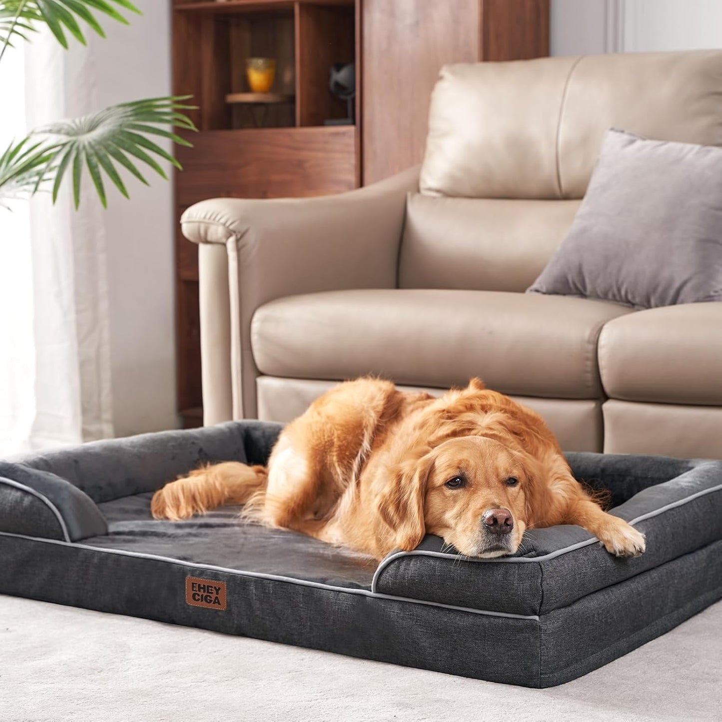 Orthopedic Dog Bed