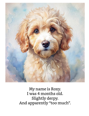 When I Met My Hooman: Roxy’s 1st Tail-Tale (Available on Amazon Kindle)