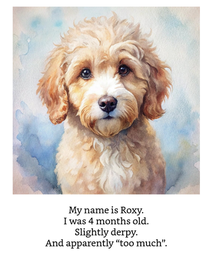When I Met My Hooman: Roxy’s 1st Tail-Tale (Available on Amazon Kindle)