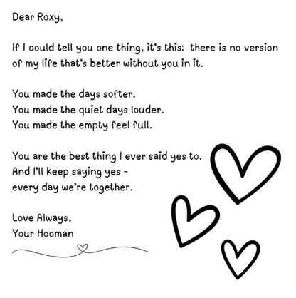 When I Met My Hooman: Roxy’s 1st Tail-Tale (Available on Amazon Kindle)