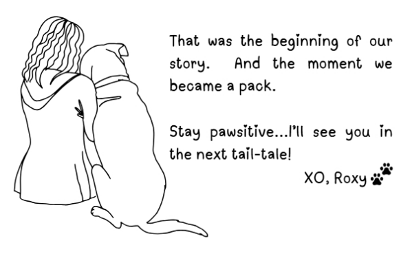 When I Met My Hooman: Roxy’s 1st Tail-Tale (Available on Amazon Kindle)